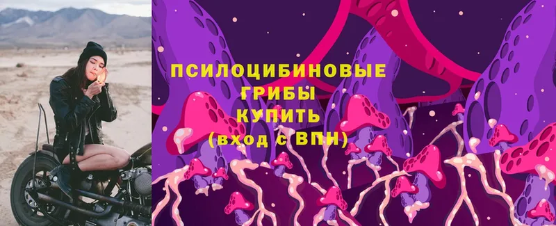 Где купить наркоту Углегорск Кокаин  Конопля  А ПВП  Псилоцибиновые грибы  Меф  Гашиш 