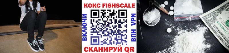 дарнет шоп Углегорск Cocaine Fish Scale