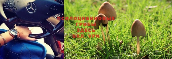 a pvp Нефтегорск