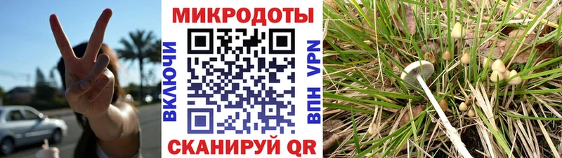 площадка официальный сайт купить сайты Углегорск Галлюциногенные грибы ЛСД
